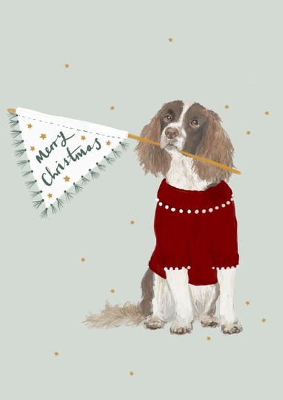 Springer Spaniel Christmas card For Dog Lovers created by Honey & Velvet Studio