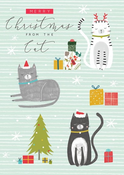 Pretty Christmas Card - From the Cat created by Laura Darrington Design Ltd.