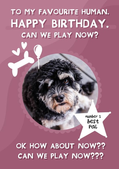 Cute Birthday Photo Card - From the dog - Can we play now? created by From The Dog