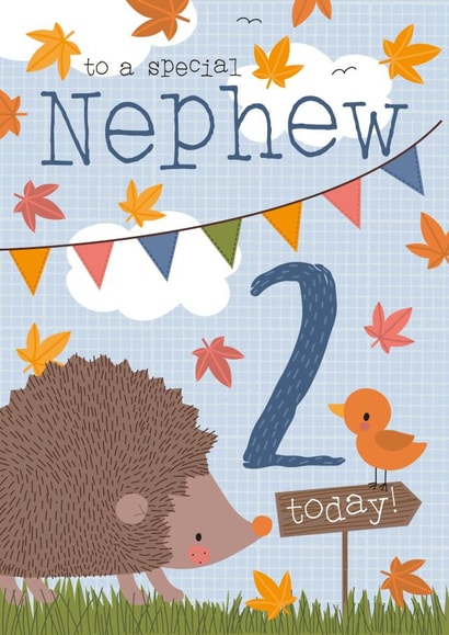 Woodland design with a cute hedgehog for Nephews second birthday created by Juniper and Rose Studio