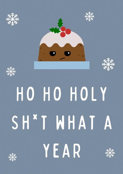 Ho Ho Holy Sh*t What A Year Funny Christmas Card created by Hint of Sarcasm