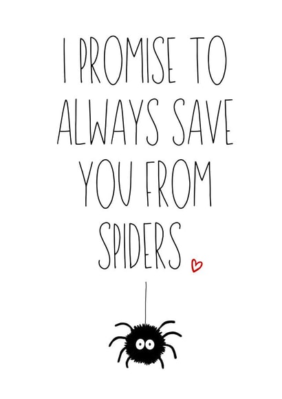 Cute Spider Card - For Partner - New Home created by Amy (Hedgecards)