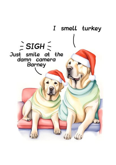 Cute dog couple on Christmas Day - sarcastic family photo created by crackerjack