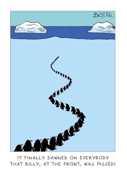 Funny Penguin Card - Pissed - Drunk created by Paperlink and Meraki Greeting Cards