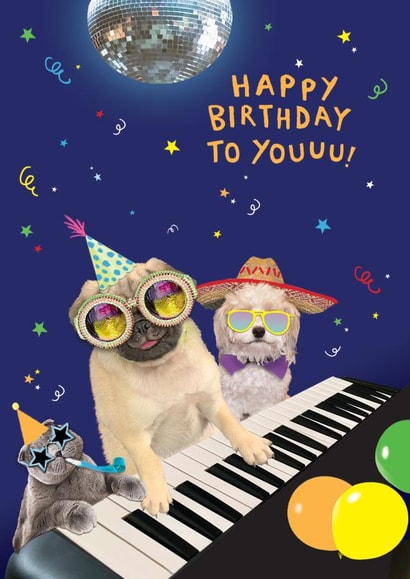 Fun Pets Birthday Card - Party Pets - Silly created by Paperlink and Meraki Greeting Cards