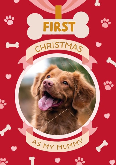 Cute Christmas Photo Card - From the Dog - 1st Christmas created by The Pattern Press
