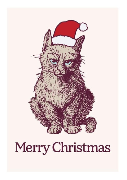 Grumpy Cat Christmas Hat card created by Matt Windsor