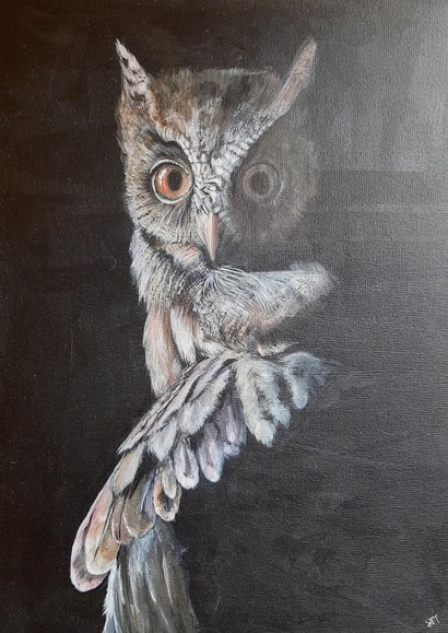 Beautiful painting for a wise owl created by Sally Taylor