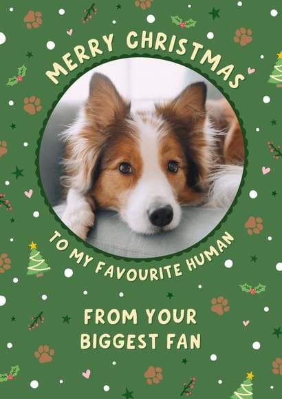 Cute Christmas Photo Card - From the dog created by Fliss Muir