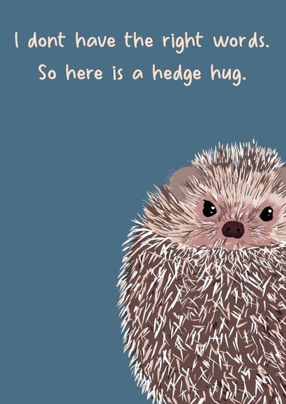 Sending sympathy wishes with a cute hedgehog. Hug created by Rae of Sunshine