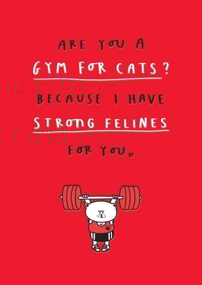 Funny Valentine Card - Are You A Gym For Cats? created by mungo and shoddy