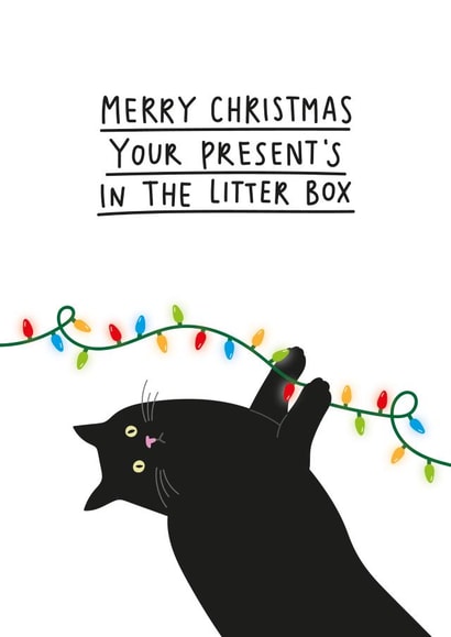 Merry Christmas from the cat - Funny Xmas card for cat owners created by Paper Edges