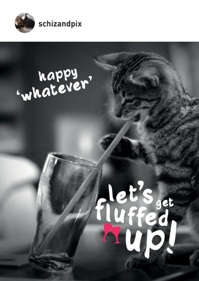 Funny cat themed multi-purpose card for any occasion. Let's get fluffed up created by Paul O'Connor