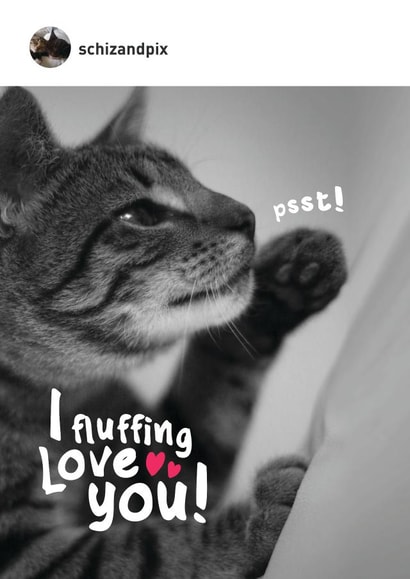 Cute funny cat themed valentines day card for the cat lover in your life! created by Paul O'Connor