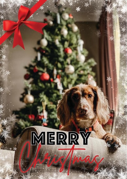 snow classic Personalised Photo Card 48752 created by Jasmin