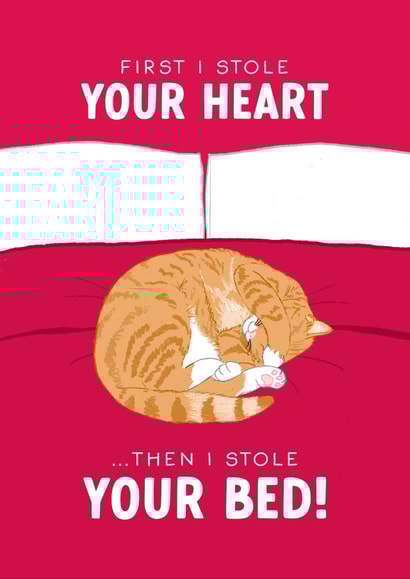 Funny Valentine's Day Card - From the Cat - Stole Your Bed created by The Cake Thief