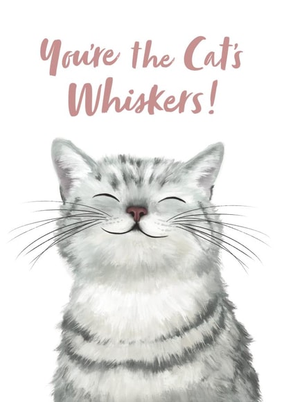 Cute Illustrated Cat Card - Thank You, Birthday created by Debbie Daley Illustrations