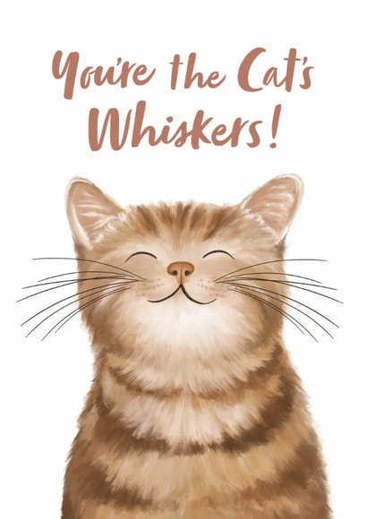 Cute Illustrated Cat Card - Thank You, Birthday created by Debbie Daley Illustrations