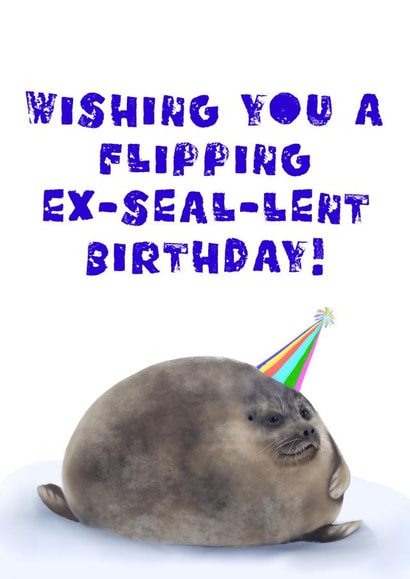 Funny Seal Birthday Card - Chonky Seal - Happy Birthday created by rcdesigns