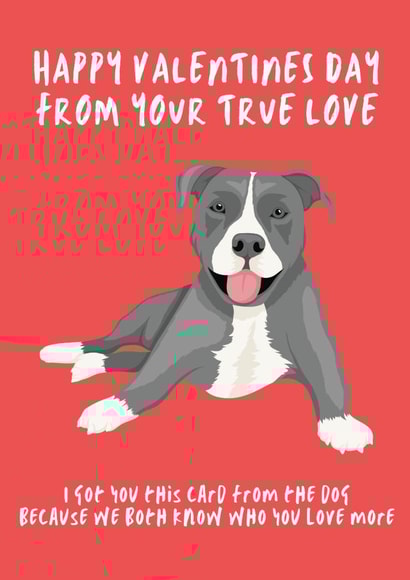 Cute Valentines Day Card - From the Dog created by Kick & Sniff