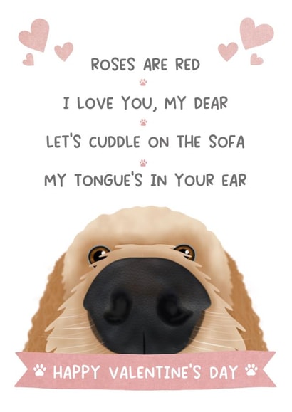 Cute Valentine's Day card - from the dog created by The Merry Giraffe