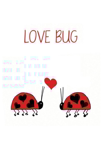 valentines day
love bug
love you
insect
complete me
ladybird
anniversary created by Olivia Morgan ltd