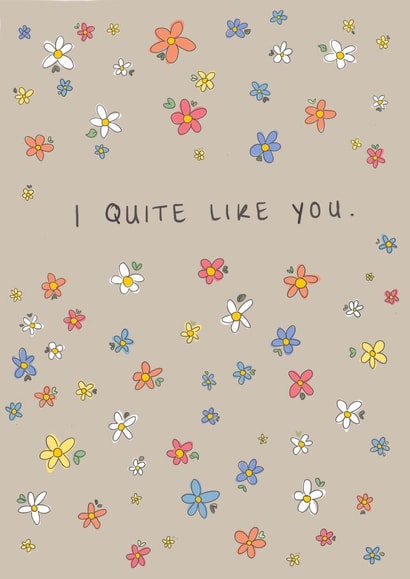 Cute and Romantic Valentines Love Card - I Quite Like You created by Sarah Symonds | Townhouse Creative