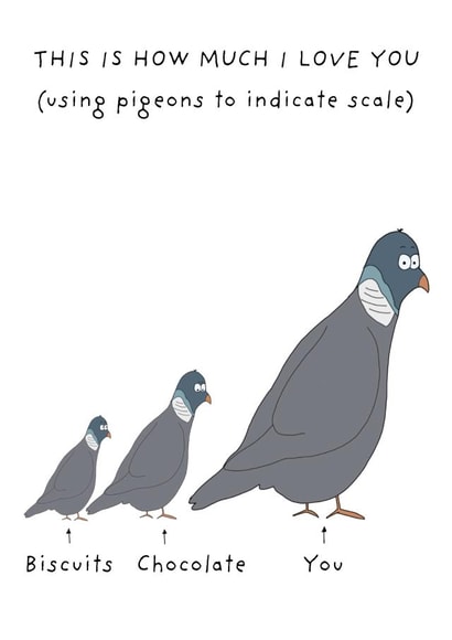 Funny card - for significant other - pigeons - love created by Not at all Jack
