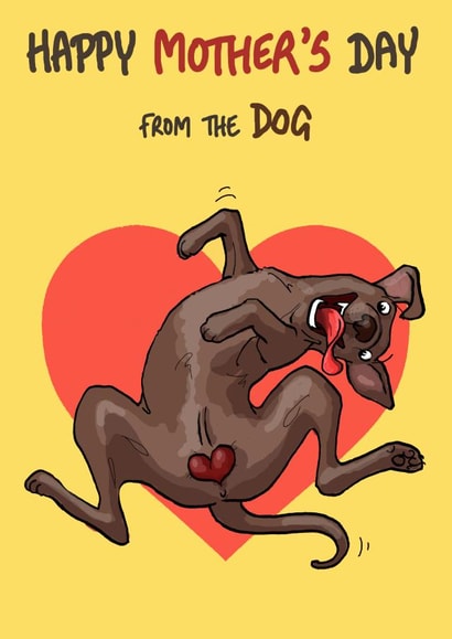 Funny Mother's Day Card - From the Dog - Balls created by Bryony Jackson Walters