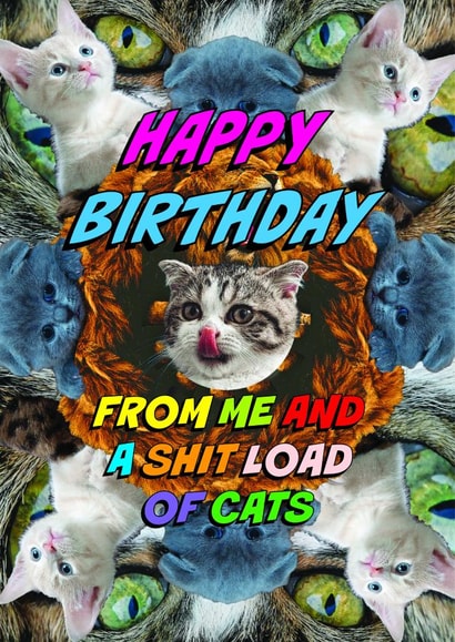 Funny Birthday Card - Shitload of Cats created by OBJECTABLES