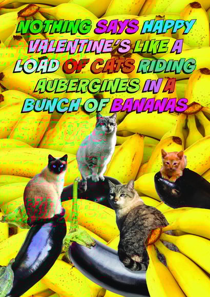 Funny Valentine's Day Card - Bananas - Cats Riding Aubergines created by OBJECTABLES