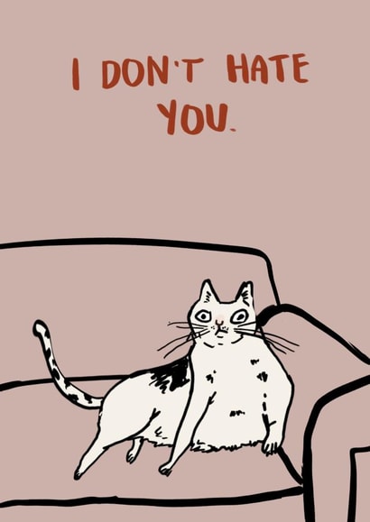 Funny Valentine's Day Card - I Don't Hate You - Cat created by Harriet Lowther