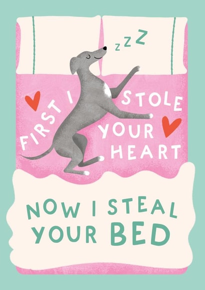 Funny Dog Card - First I Stole Your Heart, Now I Steal Your Bed created by Studio Mads