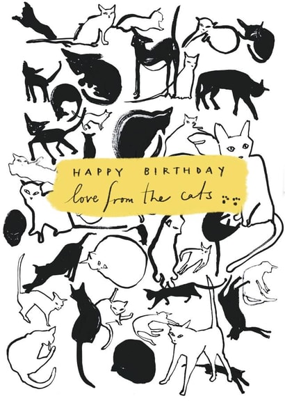 Cute Happy Birthday Card - from the cats! created by Miss Magpie Fashion Spy