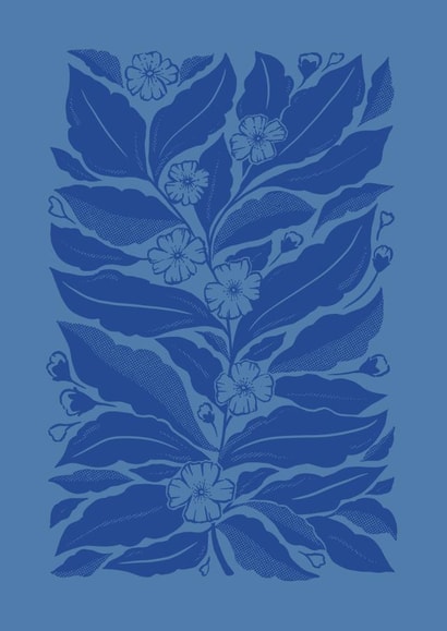 Flower Greeting Card - Mock Orange Botanical Illustration created by Banksia Creative