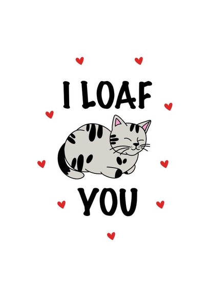 Cute Cat Anniversary/Valentine's Day Card for Significant Other - I Loaf You created by CalligraphyByEmilyM