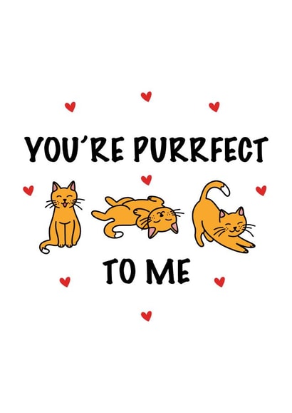 Cut Cat Anniversary/Love You Card for Significant Other - You're Purrfect To Me created by CalligraphyByEmilyM