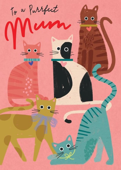Cute Mothers Day Card - for the cat loving Mum created by Laura Darrington Design Ltd.