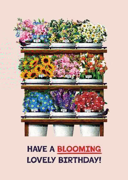 Pretty Birthday Card - Flower Display Stand - Blooming Lovely created by Folio | Ian Owen