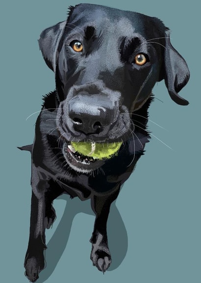 Gorgeous Black Labrador Card created by Higgledy Pets
