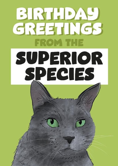 Funny Cute Cat Birthday Card - Cats are the Superior Species created by Afewhometruths
