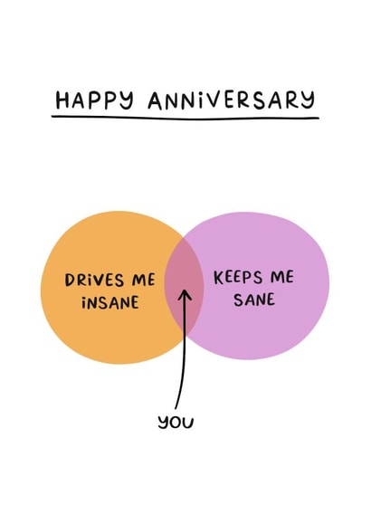 Funny Anniversary Card - Drives Me Insane & Keeps Me Sane - Venn Diagram created by Sydney Jo Designs