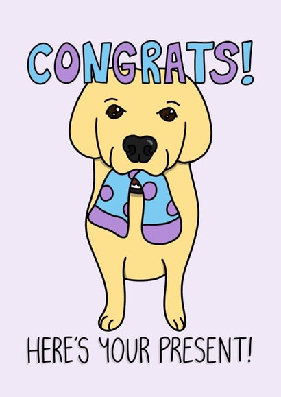 Congratulations Funny Golden Retriever Dog Pet Card with Sock Present created by Sunny Spills