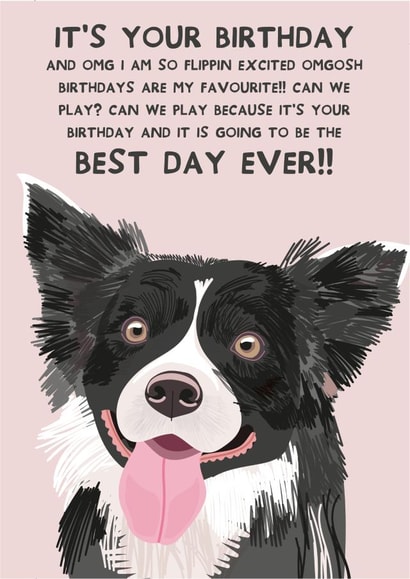 Cute Birthday Card - From the Dog - Best Day Ever - Border Collie created by From The Dog