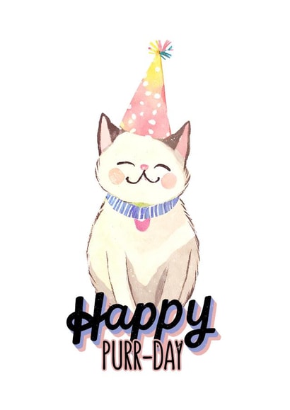 Happy Cat Birthday Card - Cute White Cat in Party Hat - Happy Purr-Day created by Cornish Cat Lady