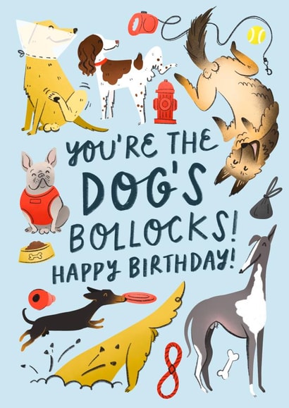 Funny Birthday Card - for a Dog Lover - You’re The Dog’s Bollocks! created by Soggy Day Studio