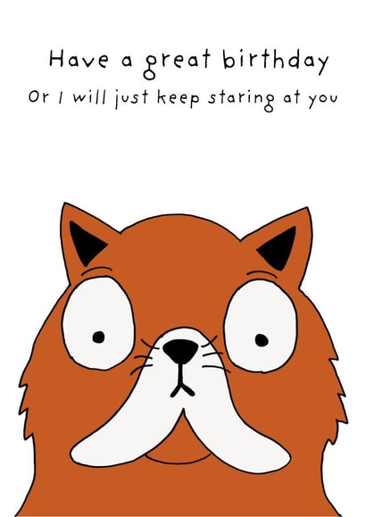 Cute Birthday Card - Cat - Keep Staring At You created by Not at all Jack