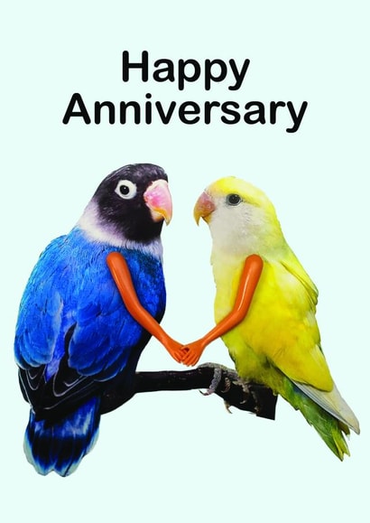 Funny Anniversary Card - Photoshop Birds with Arms created by OBJECTABLES