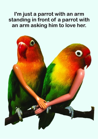 Funny Anniversary Card - For Him Parrots With Arms created by OBJECTABLES