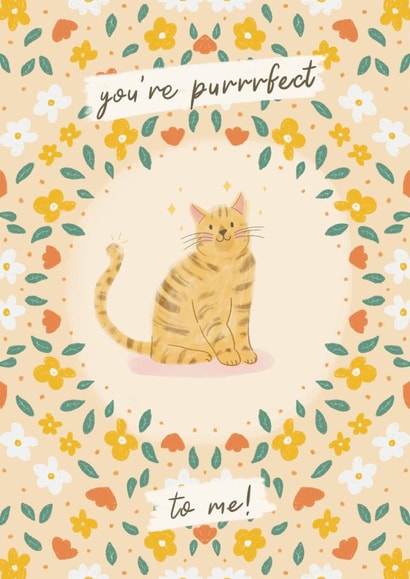 Cute Anniversary Card - Cat Illustration - You’re Purrrfect to me! created by Lisa Parker